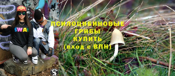 молекула духа Инсар