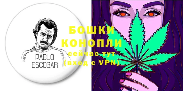 молекула духа Инсар